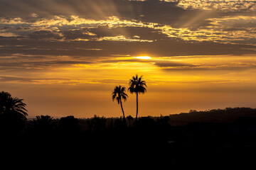 Golden Sunset Rays in San Diego