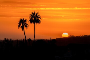 Fiery Sunset Silhouette in San Diego