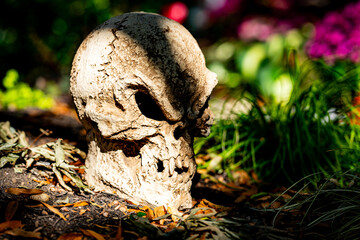 Halloween skull decorations. Halloween skull skeleton for decorated house. Scary skull Decorated at front yard of a American home. Trick or treat. Halloween skull background. Holiday of Halloween.