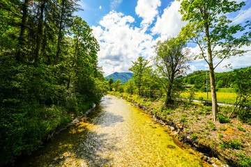Obraz premium Kieferbach near Kiefersfelden. Nature view by the river. Landscape by the stream. 