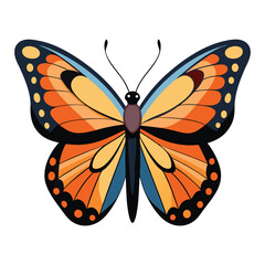 butterfly on white background