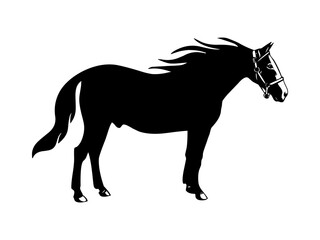 black horse silhouette vector illustration