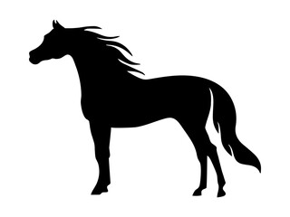 black horse silhouette vector illustration