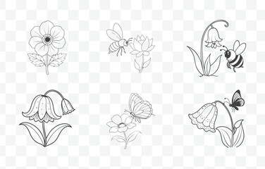 Print Bluebell Flower Botanical Illustration Line Art Vector Set with Detailed Floral Elements for Design Projects