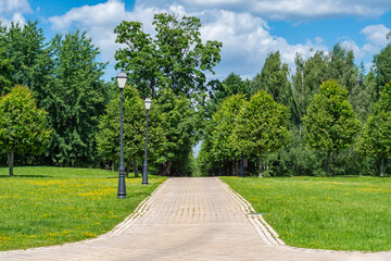 A fork in a paved road in a park. Empty background with space for walking and relaxing together.