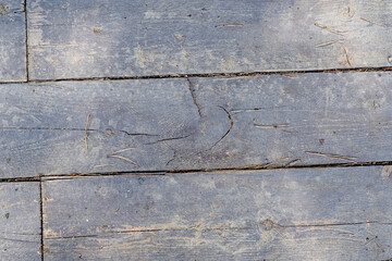 Fototapeta premium Background with wooden planks with forest debris. Plank floor in a park at sunset.