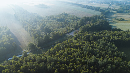 Aerial view of green fields and forest patches on foggy morning © AlexGo