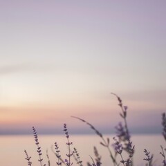 Silhouettes of wildflowers against a soft pastel sunset sky.