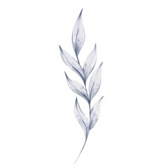 Obraz premium Watercolor blue leaves, flower illustrations, collection of Eucalyptus. Greeting card template, botanical clip art