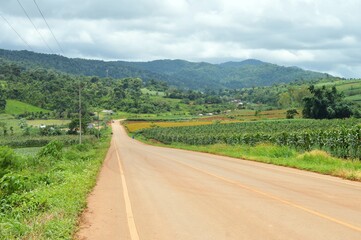 landscape of road in the mountains