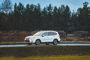 compact crossover suv car driving on the road near forest