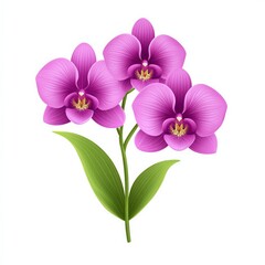 Naklejka premium Beautiful illustration of three vibrant purple orchids with green leaves on a white background. Perfect for botanical designs and nature themes.