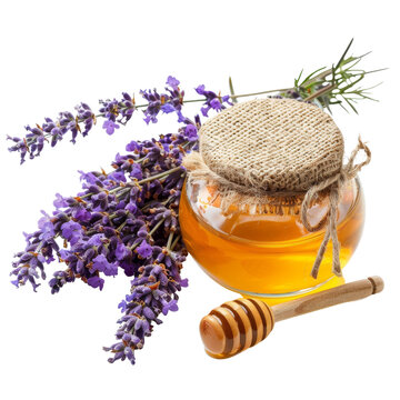Isolated Jar of Lavender Honey with Honey Dip and Fresh Flowers.