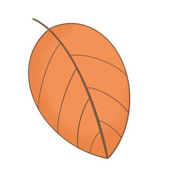 recommend clip art: an orange leaf on a transparent background