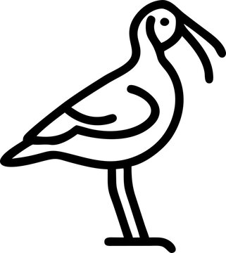 recommend clip art: bald ibis, icon outline
