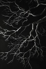 Abstract Branches Silhouettes