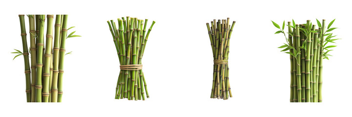 Set of Bamboo Stalks isolated on transparent png background