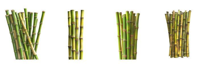 Obraz premium Set of Bamboo Stalks isolated on transparent png background