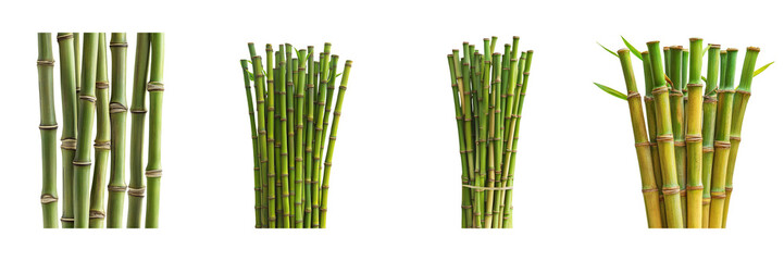 Obraz premium Set of Bamboo Stalks isolated on transparent png background