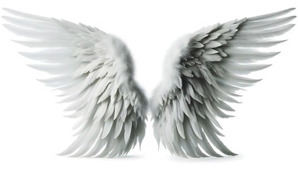 Obraz premium photo of white angel wings isolated on white background