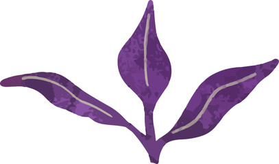 set collection of colorful autumn grass, bush, and algae, vector illustration on white