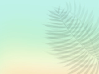 ヤシの葉の影が映る美しいグラデーション背景