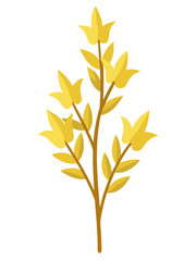 Forsythia plant vector illustration 
