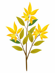 Forsythia plant vector illustration 
