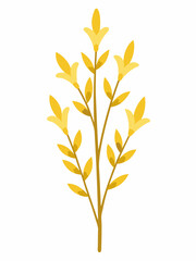 Forsythia plant vector illustration 

