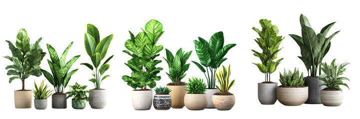 Obraz premium Potted Houseplants isolated on transparent png background