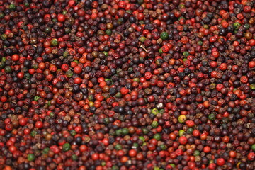 closeup view of green ripen pepper already picked and holding in hand from the bag.