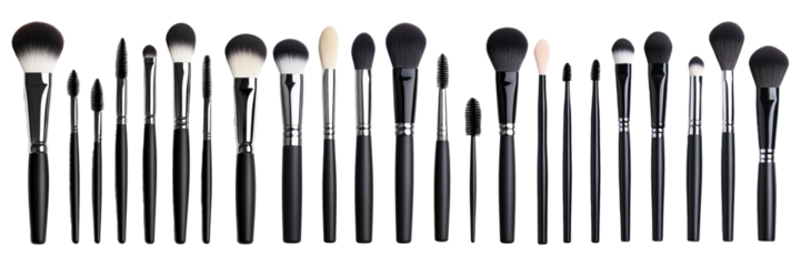 Makeup Brushes Set on Transparent Background