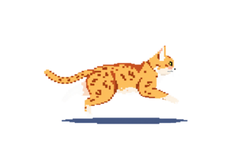 pixel art cat on transparent isolated background icon illustration design graphic flat style