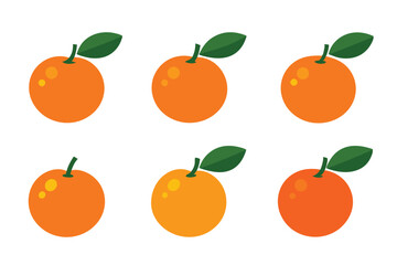 Calamondin color art illustration with captivating energy