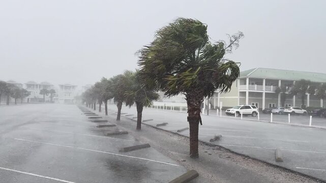 Hurricane winds and rain blowing palm trees in an empty parking lot.