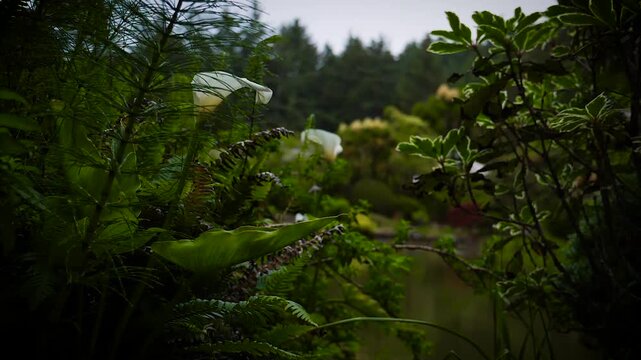 Greenery out in the wildlife
