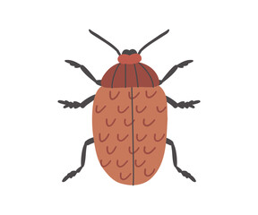 Hand drawn insect. Nature, bugs, plants. Vector flat illustration.