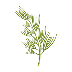 Hand drawn leaves illustration on a white background