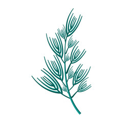 Hand drawn leaves illustration on a white