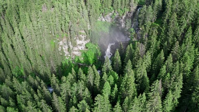 Cascate del rutor waterfall hidden within dense green forest in the alps, aerial view