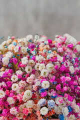 Coloured gypsophilas as a background