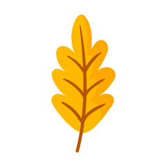 Elegant hand drawn tropical leaf illustration isolated on the white background