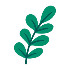 Elegant hand drawn tropical leaf illustration