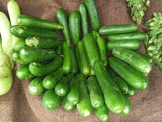 Cucumbers are a widely cultivated plant in the gourd family, Cucurbitaceae. It have high water content helps with hydration.Fiber content etc.