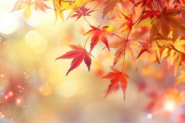 A detailed shot of tree leaves and their texture