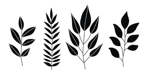 Hand drawn doodle tropical leaves set isolated on white background