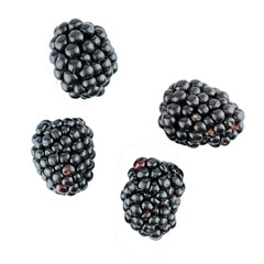 blackberry isolated on a transparent background