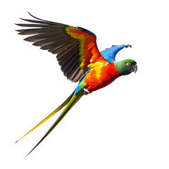 Fototapeta premium blue and yellow macaw. Generative AI illustration