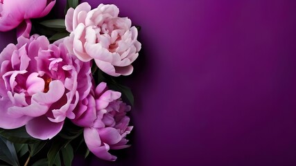 Fototapeta premium Peonies, roses on purple background with copy space. Abstract natural floral frame layout with text space. Romantic feminine composition. Wedding invitation. AI generative