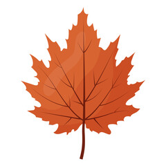 Fototapeta premium autumn colored bright leaf highlighted on a white background. vector illustration